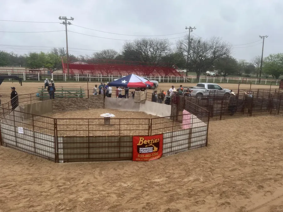 The Ham Rodeo hog-catch pen in the arena, with the Texas-flag tent and red bleachers behind.